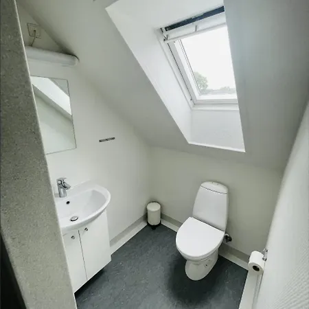 Loft Lejlighed