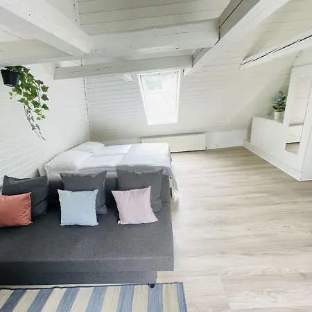 Loft Lejlighed Aalborg
